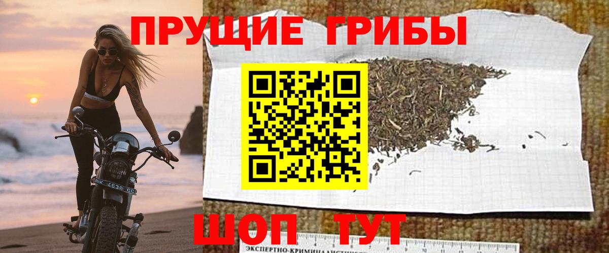 Псилоцибиновые грибы Psilocybine cubensis Топки